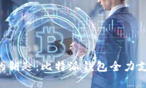 掌控数字财富的钥匙：比特派钱包全力支持BEP20资产！