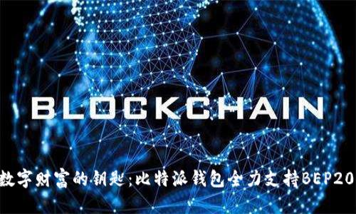 掌控数字财富的钥匙：比特派钱包全力支持BEP20资产！