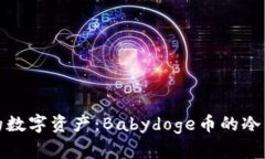 安全保护你的数字资产：Babydoge币的冷钱包使用指