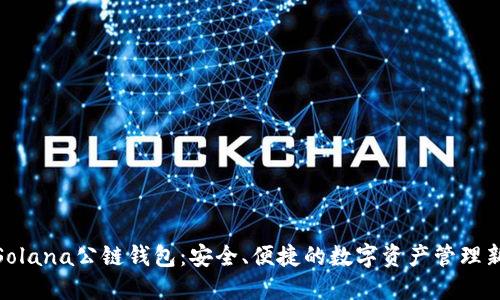 探索Solana公链钱包：安全、便捷的数字资产管理新选择