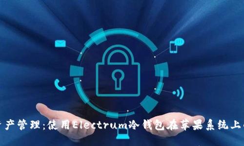 : 安全数字资产管理：使用Electrum冷钱包在苹果系统上的优势与指南