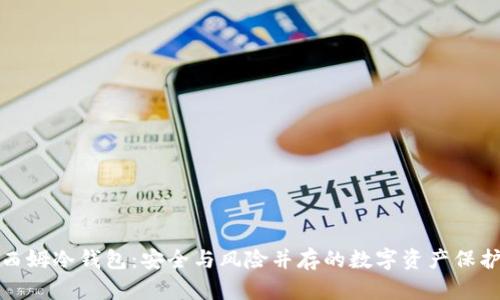 揭秘西姆冷钱包：安全与风险并存的数字资产保护工具