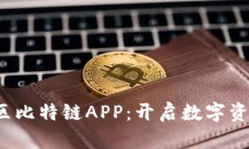 探索中国区比特链APP：开启数字资产新纪元！