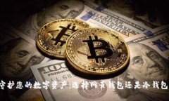 守护您的数字资产：选择网页钱包还是冷钱包？