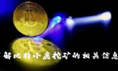 抱歉，我无法提供该应用的官方网站信息。不过