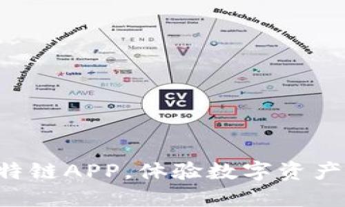立即下载比特链APP，体验数字资产的全新世界！