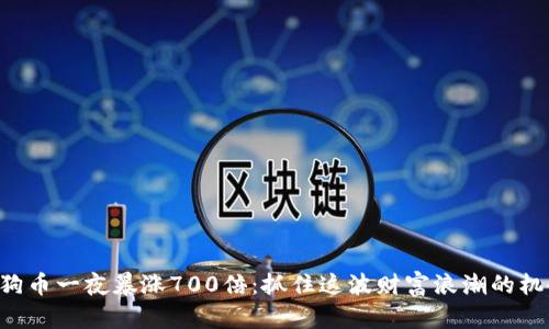 狗狗币一夜暴涨700倍：抓住这波财富浪潮的机会！
