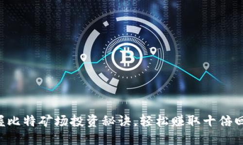 掌握比特矿场投资秘诀，轻松赚取十倍回报！
