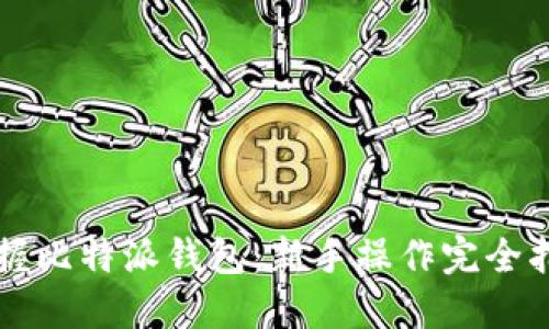 掌握比特派钱包：新手操作完全指南
