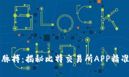掌握交易脉搏：揭秘比特交易所APP精准走势分析
