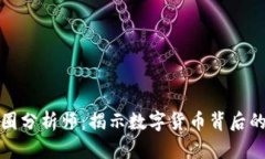 深入了解币圈分析师：揭示数字货币背后的秘密
