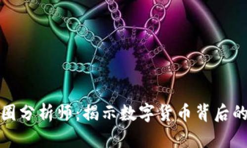 深入了解币圈分析师：揭示数字货币背后的秘密与机会