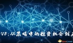 探索数字货币DVF：从晨曦中的投资机会到未来金