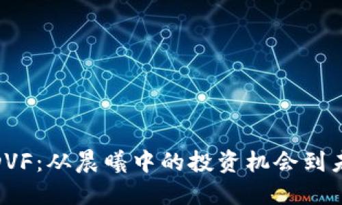 探索数字货币DVF：从晨曦中的投资机会到未来金融的巨浪