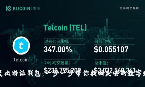 恢复比特派钱包：一步一步带你找回失去的数字财富