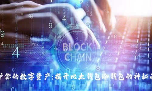 保护你的数字资产：揭开比太钱包冷钱包的神秘面纱