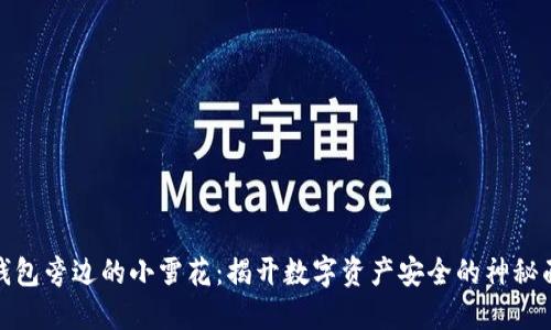冷钱包旁边的小雪花：揭开数字资产安全的神秘面纱
