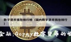:掌握未来金融：Gopay数字货币的崛起与机遇