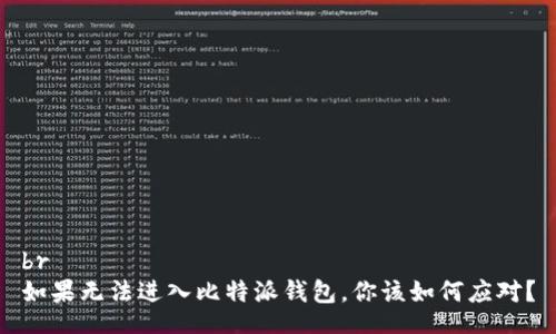 br
如果无法进入比特派钱包，你该如何应对？