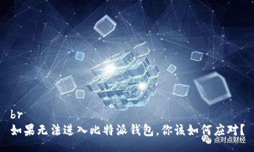br
如果无法进入比特派钱包，你该如何应对？