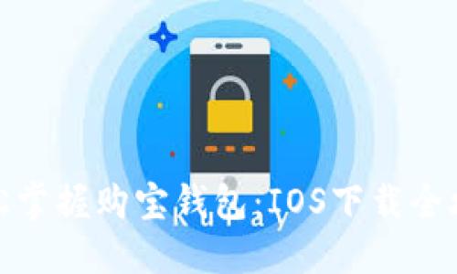 轻松掌握购宝钱包：IOS下载全攻略