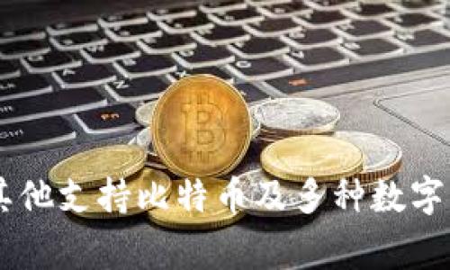 带有“B”字的冷钱包一般指的是比特币冷钱包，比如“Ledger Nano X”或“Ledger Nano S”这样的设备型冷钱包，或者其他支持比特币及多种数字资产的冷钱包。具体是哪个品牌或型号可以根据用户的需求和喜好来选择。如果你有特定的品牌或要求，欢迎进一步询问！
