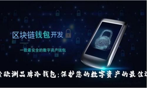 探索欧洲品牌冷钱包：保护您的数字资产的最佳选择