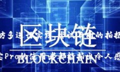波宝Pro使用指南波宝Pro是一款功能强大的摄影器