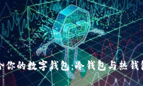 如何选择适合你的数字钱包：冷钱包与热钱包的深度解析