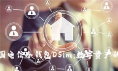 探索中国电信冷钱包DSim：数字资产的安全港