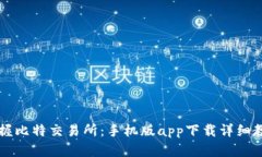 掌握比特交易所：手机版app下载详细教程