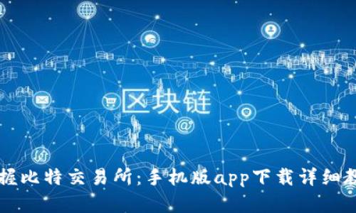 掌握比特交易所：手机版app下载详细教程