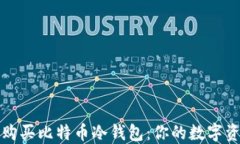 如何安全地购买比特币冷钱包：你的数字资产保