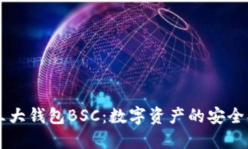 币圈三大钱包BSC：数字资产的安全护航者