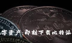 轻松掌控数字资产：即刻下载比特派钱包苹果版