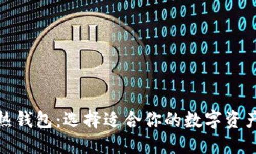 冷钱包与热钱包：选择适合你的数字资产安全之道