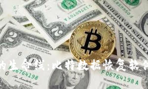 : 解锁数据的生命线：比特数据恢复软件的真实价值