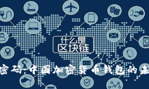 破解财富密码：中国加密货币钱包的未来与机遇