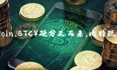 比特现金（Bitcoin Cash，简称BCH）是一种加密货币