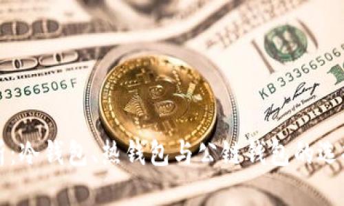 全面解析：冷钱包、热钱包与公链钱包的选择与应用