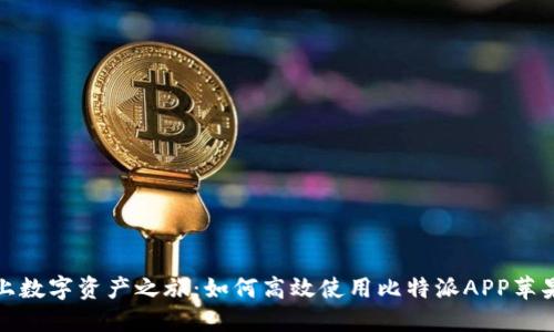 踏上数字资产之旅：如何高效使用比特派APP苹果版