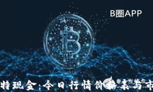 
掌握比特现金：今日行情价格表与市场动向
