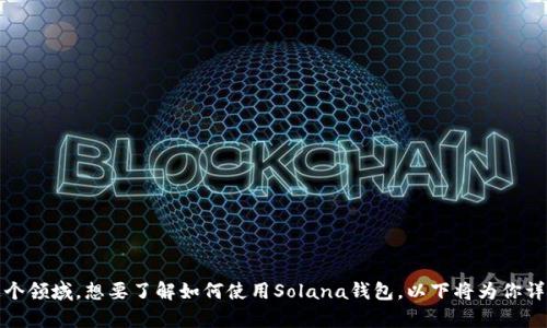 

在这个数字货币的世界中，拥有一个安全可靠的钱包就像拥有一把通往财富花园的金钥匙。如果你刚刚进入这个领域，想要了解如何使用Solana钱包，以下将为你详细介绍如何创建、使用和安全管理你的Solana钱包，让每一位新手都能轻松上手，畅享数字资产所带来的便利。

掌握Solana钱包：开启数字资产管理之旅