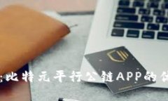 解锁未来：比特元平行公链APP的优势与应用