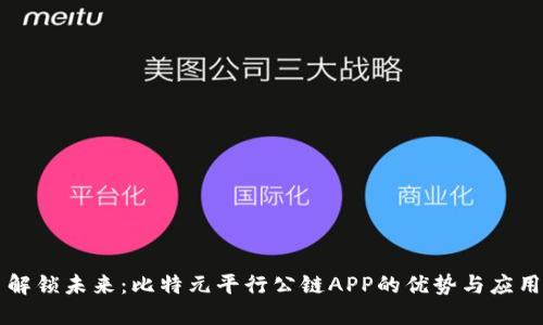 解锁未来：比特元平行公链APP的优势与应用