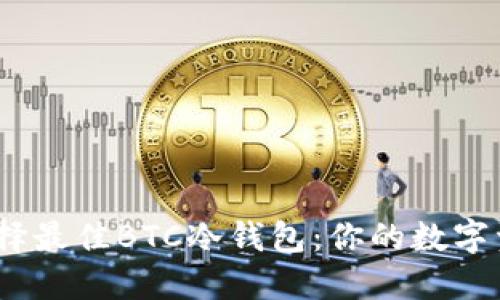 掌握安全，选择最佳BTC冷钱包：你的数字资产保护之道