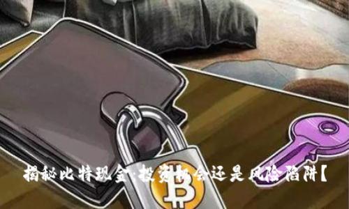 揭秘比特现金：投资机会还是风险陷阱？