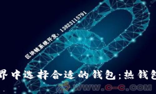 如何在数字货币的世界中选择合适的钱包：热钱包与冷钱包的对比指南