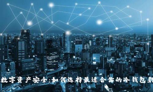 掌控数字资产安全：如何选择最适合你的冷钱包豹子号