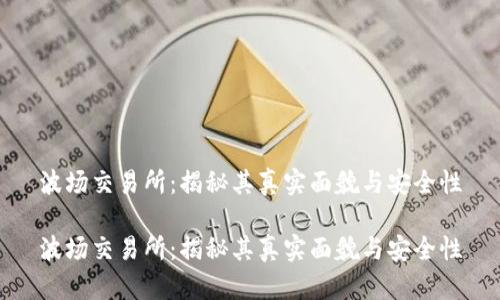 波场交易所：揭秘其真实面貌与安全性

波场交易所：揭秘其真实面貌与安全性